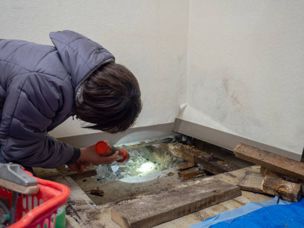 Best Air Quality Testing for Mold Spores  in Morgantown, IN
