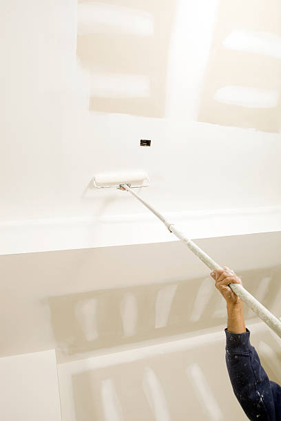 Best Mold Documentation for Insurance Claims  in Morgantown, IN
