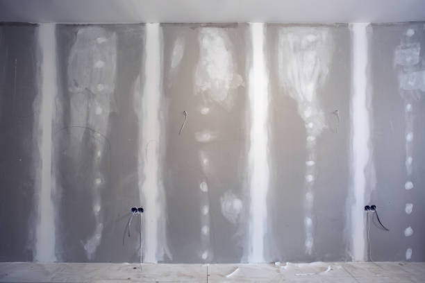 Best Dehumidification Services  in Morgantown, IN